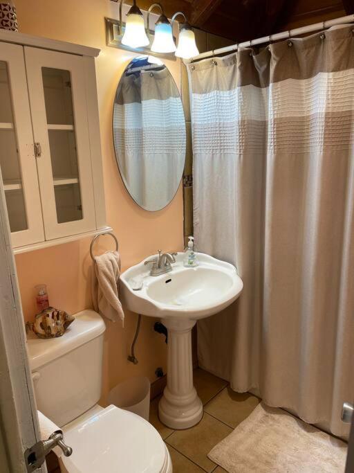 Blue Bird Cottage - Pet Friendly Джулиан Экстерьер фото